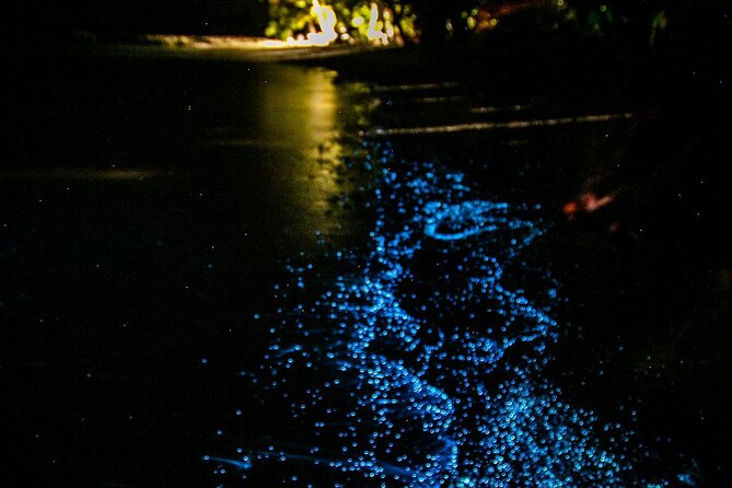 Full Clear Kayak Bioluminescent Experience Vieques, Puerto Rico - Watching the blue glow below you