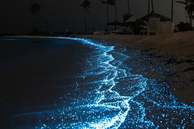 Full Clear Kayak Bioluminescent Experience Vieques, Puerto Rico - Small groups make the bay easier to enjoy