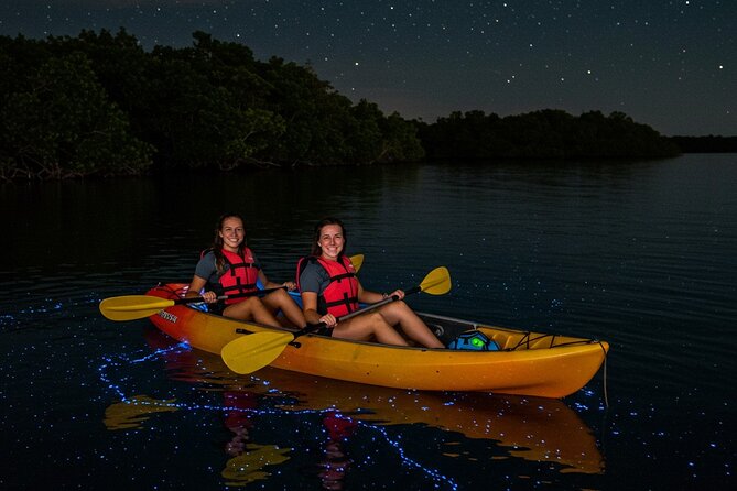 Full Clear Kayak Bioluminescent Experience Vieques, Puerto Rico - What to know about weather and cancellations