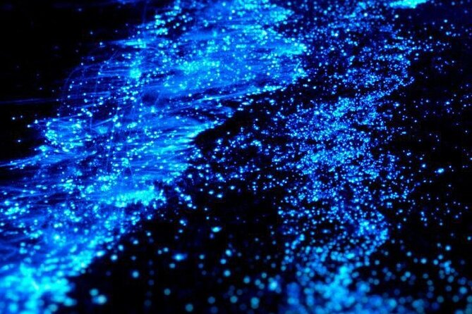 Full Clear Kayak Bioluminescent Experience Vieques, Puerto Rico - Who will get the most from this experience
