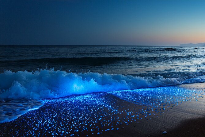Full Clear Kayak Bioluminescent Experience Vieques, Puerto Rico - The guide introduction sets the tone