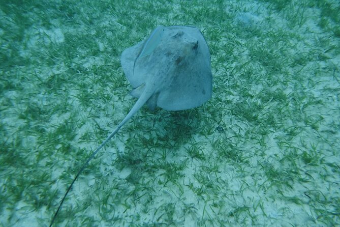Full Day Charter from Fajardo to Culebra - Barbecue lunch, rum, Medalla, and simple beach snacks