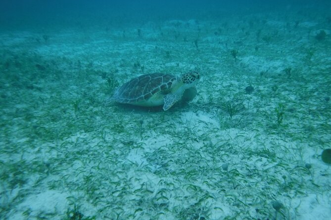 Full Day Charter from Fajardo to Culebra - What the $1,500 private price really means