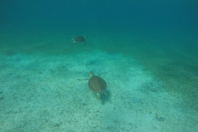 Full Day Charter from Fajardo to Culebra - Who will enjoy this charter most
