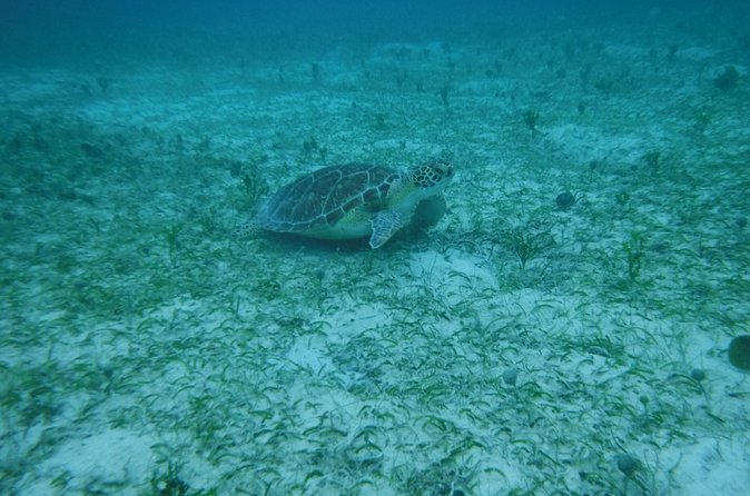 Full Day Charter from Fajardo to Culebra - Weather changes and cancellation rules