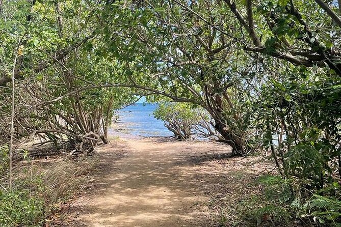 Full Day Eastern Island Tour - Why this eastern Puerto Rico route works