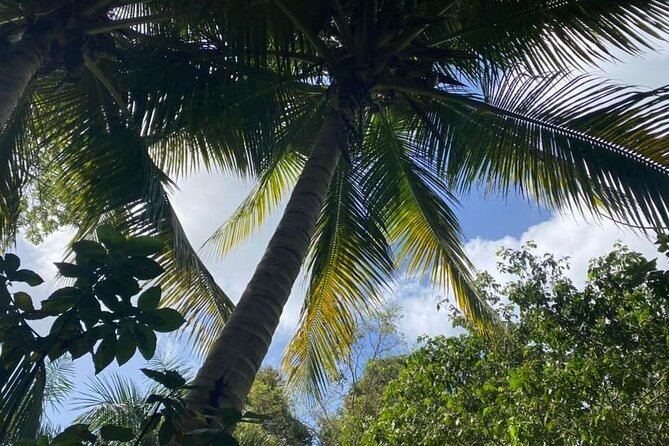 Full Day Eastern Island Tour - Loíza, where the day turns toward culture