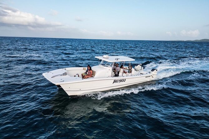 Full-Day Fishing Charter in East Coast, Puerto Rico - Fishing styles chosen for a fast, active day
