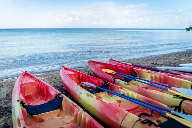 Full-Day Kayak Adventure – Explore Fajardo’s Crystal-Clear Waters - What You Actually Get for $80