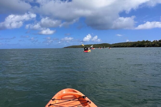 Full-Day Kayak Adventure – Explore Fajardo’s Crystal-Clear Waters - Practical Limits to Keep in Mind