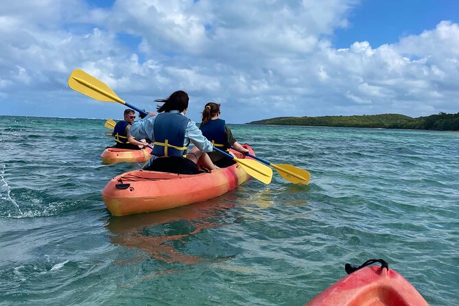 Full-Day Kayak Adventure – Explore Fajardo’s Crystal-Clear Waters - Who Will Enjoy This Most