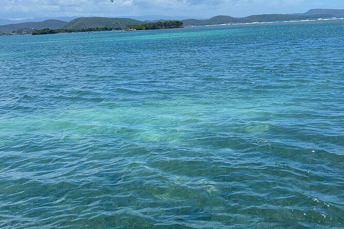 Full-Day Private Cruise in Cayo Caracoles - Key Points at a Glance