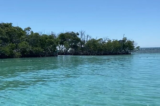 Full-Day Private Cruise in Cayo Caracoles - Snorkeling, Swimming, and the Fish Below