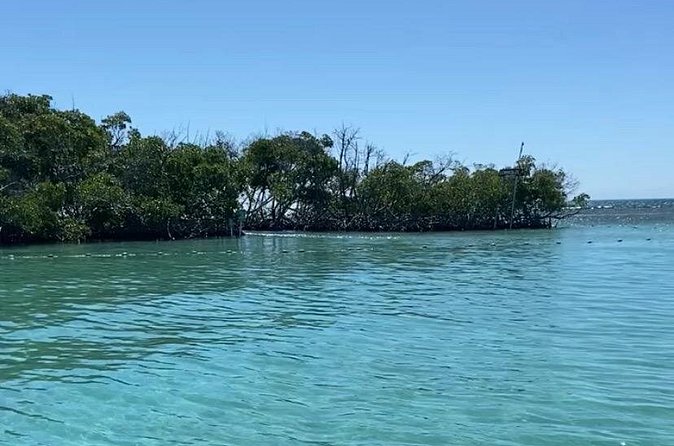 Full-Day Private Cruise in Cayo Caracoles - Nearby Sandbars and a Flexible Pace