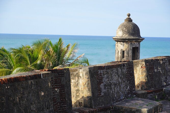 Full Day Private Tour to the West Of Puerto Rico - What the $903.50 price really buys