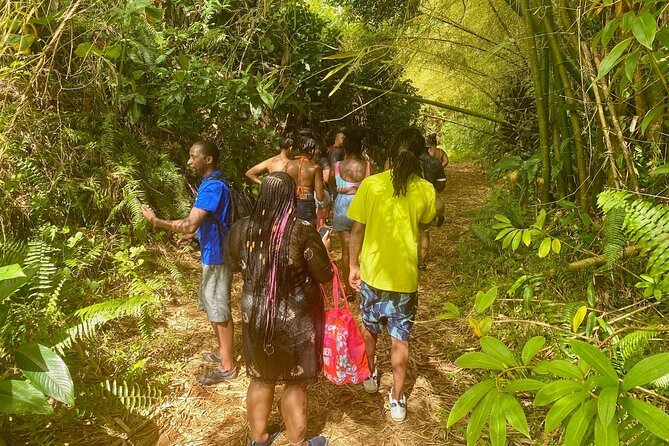 Full-Day Private Tour to Tinajas Waterfalls in El Yunque - Fresh fruit, local stories, and the guide’s role