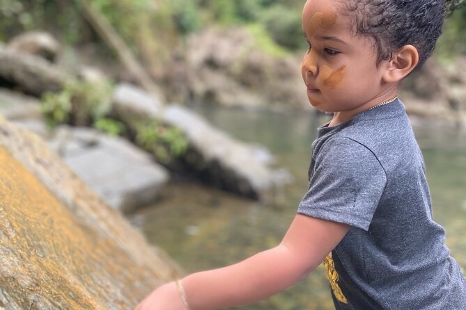 Full-Day Private Tour to Tinajas Waterfalls in El Yunque - The private-tour value for groups of four