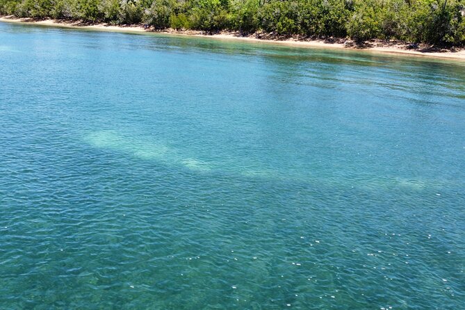 Full-Day Snorkeling Gear Rental in Puerto Rico - What this Fajardo snorkeling rental is really like
