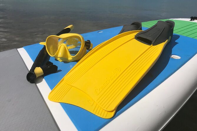 Full-Day Snorkeling Gear Rental in Puerto Rico - Choosing and checking your snorkeling equipment
