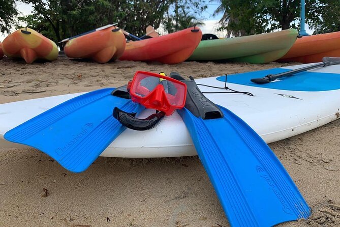 Full-Day Snorkeling Gear Rental in Puerto Rico - What you might see beneath the water