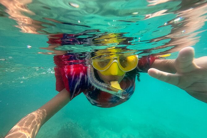 Full-Day Snorkeling Gear Rental in Puerto Rico - Timing your visit around the 8:00 AM to 5:00 PM hours