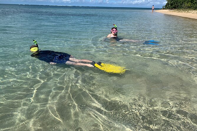 Full-Day Snorkeling Gear Rental in Puerto Rico - Who will enjoy this most