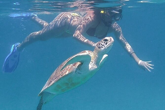 Full-Day Snorkeling Tour to Culebra Island with Lunch - What the $168.37 price really covers