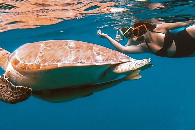 Full-Day Snorkeling Tour to Culebra Island with Lunch - Practical tips for a smoother outing