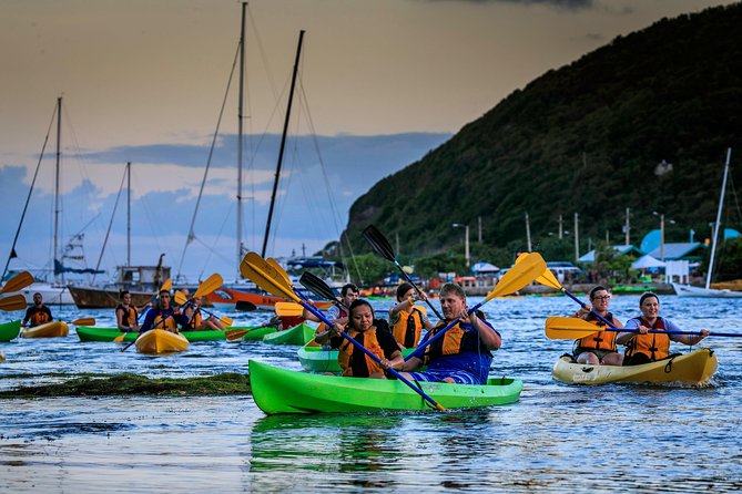 Full-Day Tour: El Yunque, Luquillo Beach, Bio Bay Night Kayaking - One day, three very different Puerto Rico experiences