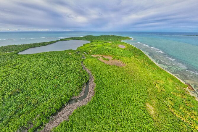Full-Day Tour: El Yunque, Luquillo Beach, Bio Bay Night Kayaking - Laguna Grande begins with a nighttime paddle