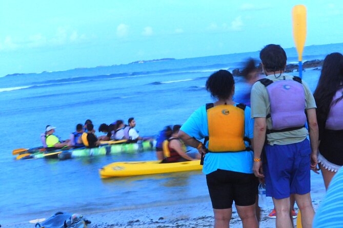 Full-Day Tour: El Yunque, Luquillo Beach, Bio Bay Night Kayaking - What the bioluminescence really looks like
