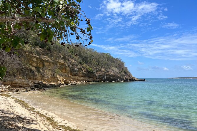 Full Day Vamos Pa la Isla Southwest Experience - Why this southwest day trip works