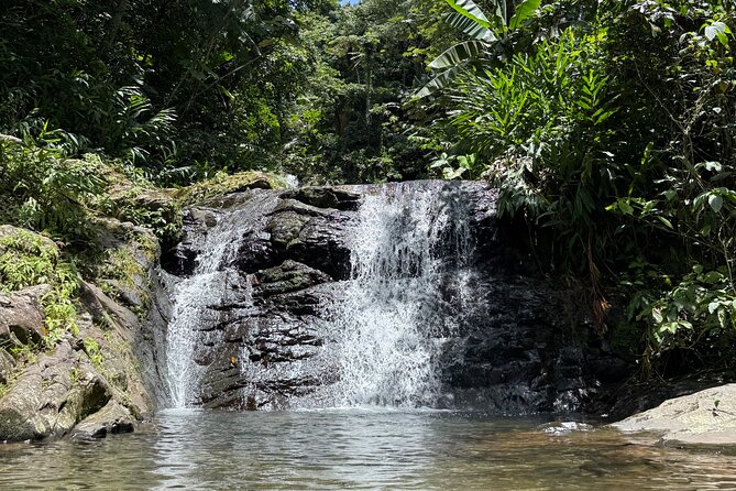 Full Day Waterfalls of Puerto Rico: Central Mountains Escape - Why Puerto Rico’s central mountains are worth your day