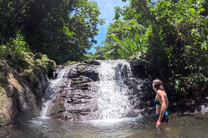 Full Day Waterfalls of Puerto Rico: Central Mountains Escape - FinCafé adds a taste of Puerto Rican coffee
