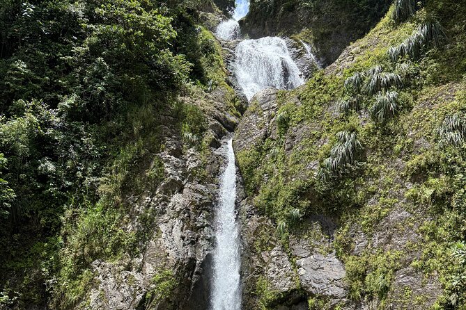 Full Day Waterfalls of Puerto Rico: Central Mountains Escape - Local food makes the day feel less packaged
