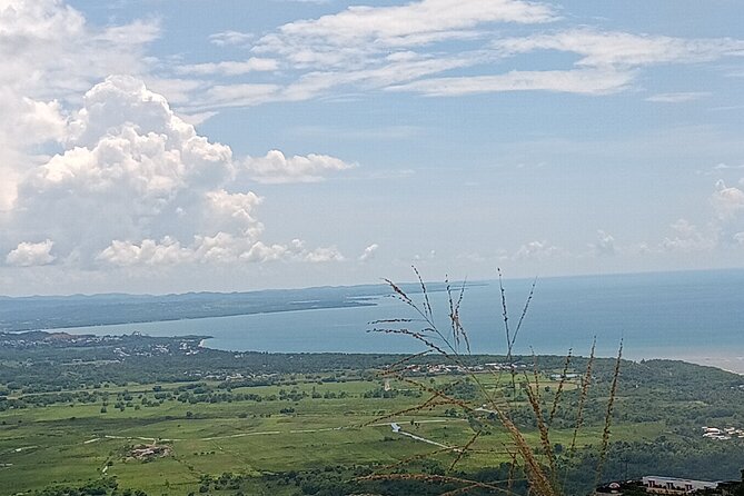 Full Day West Coast Adventure in Puerto Rico - Boquerón Brings Food, Color, and Local Life