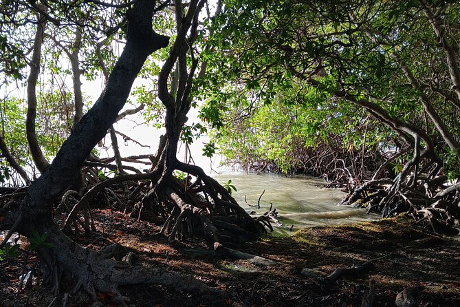 Full Day West Coast Adventure in Puerto Rico - Combate Beach Gives You Time to Slow Down