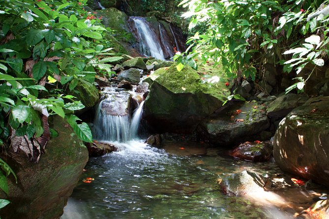 Full-Day Zipline and Waterfall Rappelling Adventure Near San Juan - Who should book this adventure?