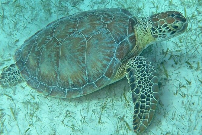 Get SCUBA Certified at San Juan - Equipment, facilities, and comfort between sessions