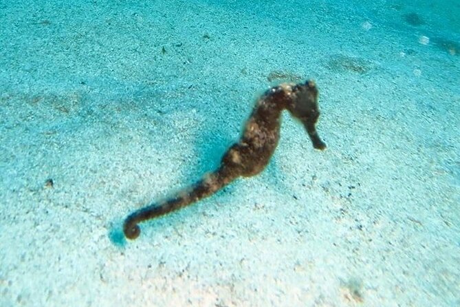Get SCUBA Certified at San Juan - Weather, cancellations, and planning your dates