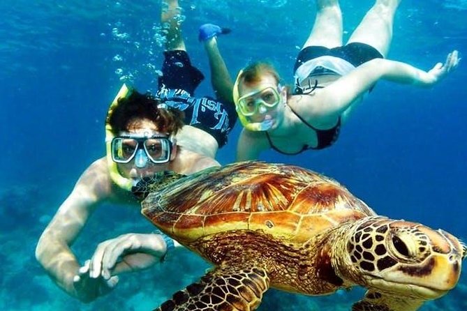 Guided Coral Reef Snorkeling Tour - Arriving at Steps Beach in Rincón