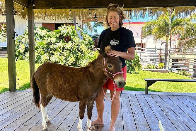 Guided Hike with Miniature Donkeys to a Secluded Beach - Starting at Hacienda222 in Isabela