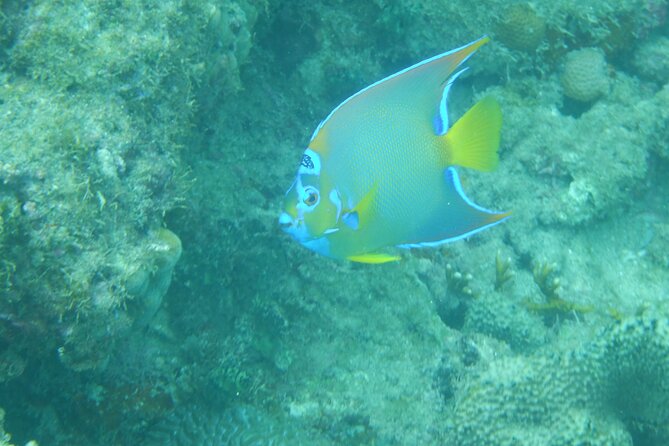 Guided Shore Diving Tour - Why a shore entry can be the better choice