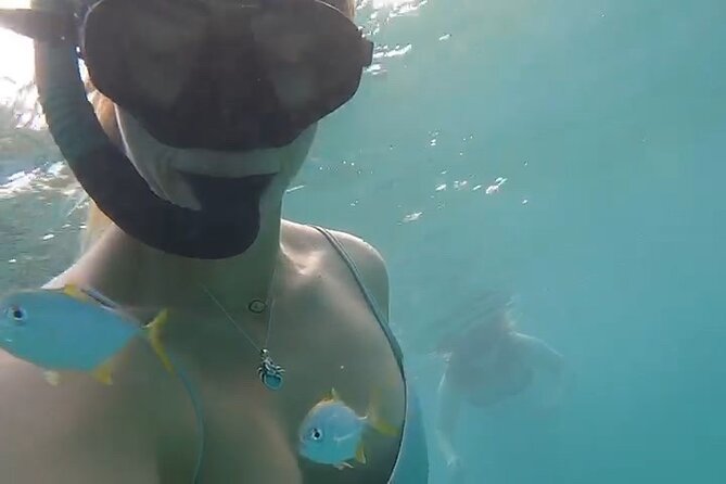 Guided Snorkeling adventure in San Juan - Following the guide to the rock reef