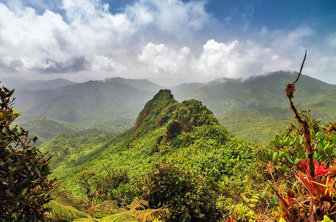 Half Day Adventure Private Tour in El Yunque Rainforest - What the rainforest adds beyond the water activities