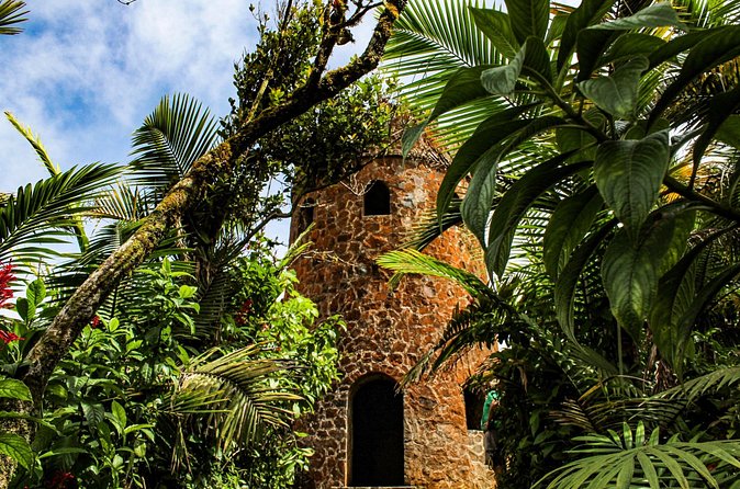 Half Day Adventure Private Tour in El Yunque Rainforest - A private format that changes the pace