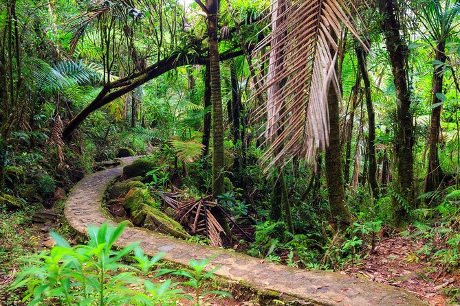 Half Day Adventure Private Tour in El Yunque Rainforest - Who will enjoy this El Yunque outing