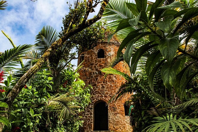 Half Day Adventure Private Tour in El Yunque Rainforest - Swimming, swinging, and sliding in cold mountain water