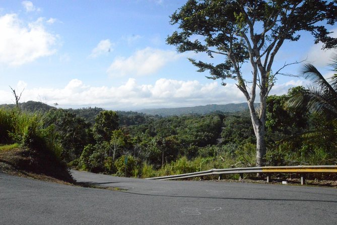 Half-Day Center of Puerto Rico Cultural Tour - What Makes This Tour Worth Considering