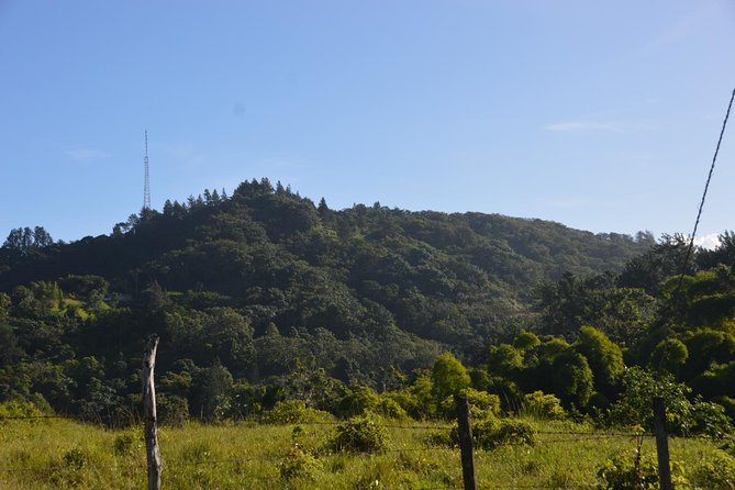Half-Day Center of Puerto Rico Cultural Tour - Is $80 a Fair Price?